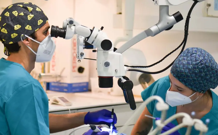 Microscopio operatorio utilizado en tratamientos dentales de alta precisión